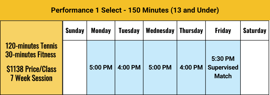 Junior Tennis Performance 1 Select 895x317 7302026
