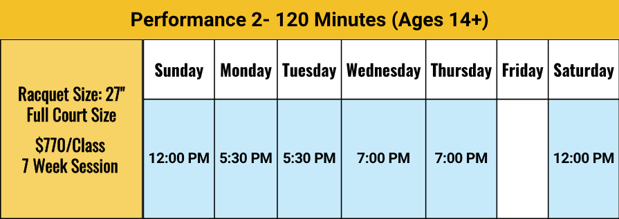 Junior Tennis Performance 2 895x317 7302026